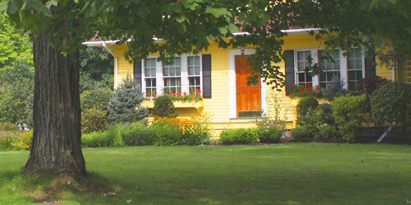 Yellow two-story home with shady tree on front lawn