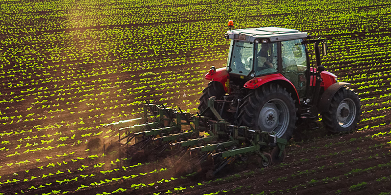 Tractor tilling a field