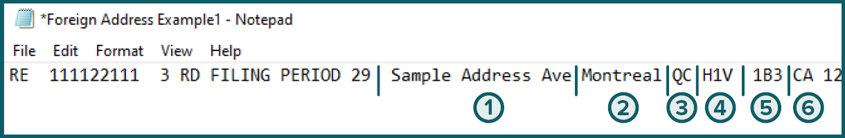 Snippet of foreign address format for withholding tax