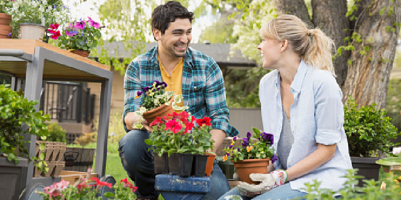 Couple working in the garden of their new home