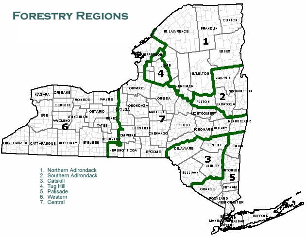 Map of New York State Forest Regions